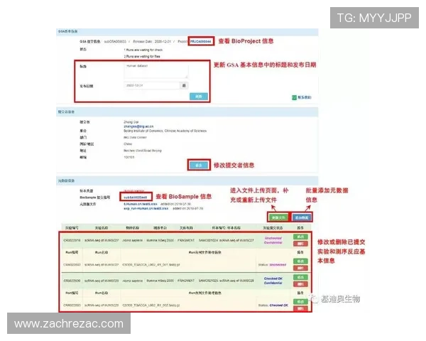 开云体育网页版登录入口最新指南，帮助玩家轻松进入官方平台体验优质体育赛事