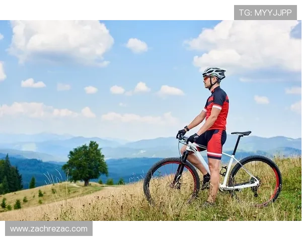 下载开运综合体育官方应用程序，享受专业体育数据分析和个性化运动建议的全新体验